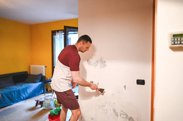 Best Attic Mold Remediation in Crompond, NY